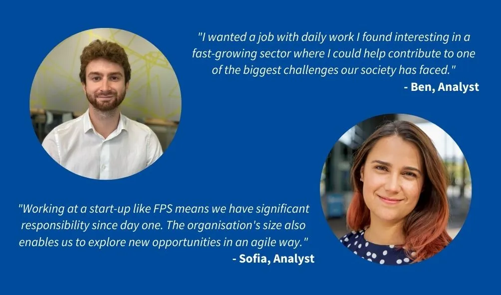 Life of an Analyst at Flexible Power Systems